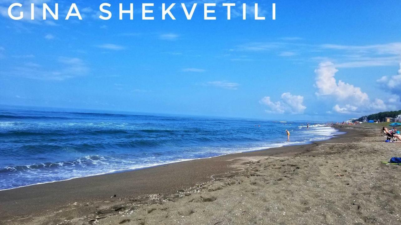 Готель Gina Shekvetili Екстер'єр фото